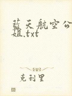 蓝天航空公司空姐.txt