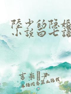 陆少的隐婚罪妻小说白七诺