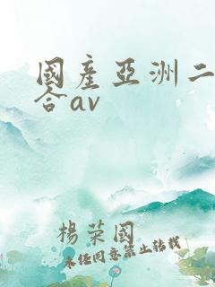 国产亚洲二区综合av