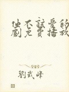 他不该爱的人短剧免费播放