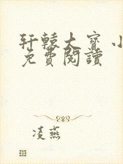 轩辕大宝 小说免费阅读