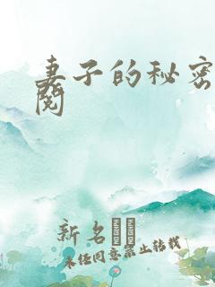 妻子的秘密小说阅