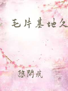 毛片基地久久久