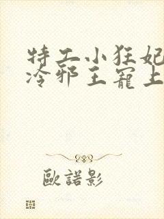 特工小狂妃:高冷邪王宠上瘾