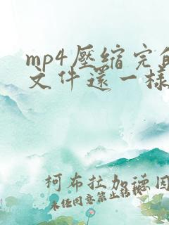 mp4压缩完的文件还一样大