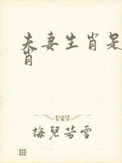夫妻生肖是哪几肖