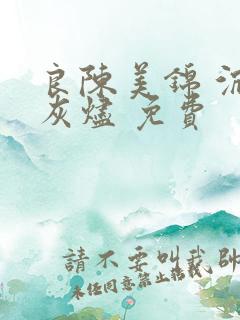 良陈美锦 沉香灰烬 免费