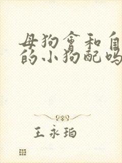 母狗会和自己生的小狗配吗