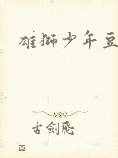 雄狮少年豆瓣