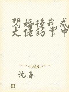 闪婚后我成为了大佬的掌中之物大结局