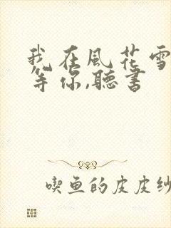 我在风花雪月里等你,听书