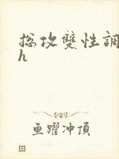 总攻双性调教高h