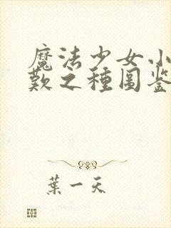魔法少女小圆悲叹之种图鉴