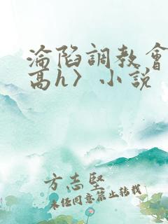 沦陷调教会所〈高h〉小说