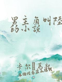 男主角叫陆无尘的小说