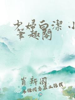 少妇白洁 小说 笔趣阁