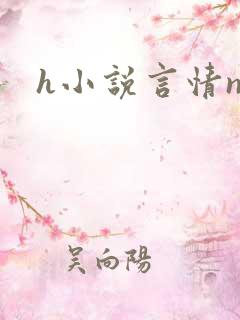 h小说言情np
