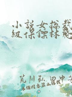 小说女总裁的神级保镖林飞