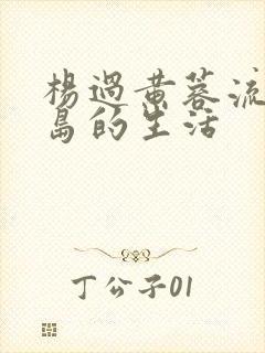 杨过黄蓉流落荒岛的生活