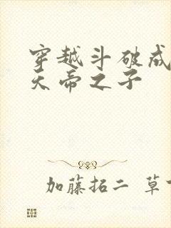 穿越斗破成为魂天帝之子