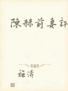 陈赫前妻许婧
