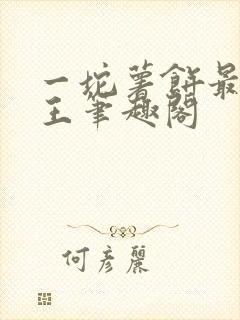 一坨薯饼最佳野王笔趣阁