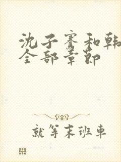 沈子骞和韩琼莹全部章节
