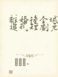 离婚后全城大佬追我短剧免费观看