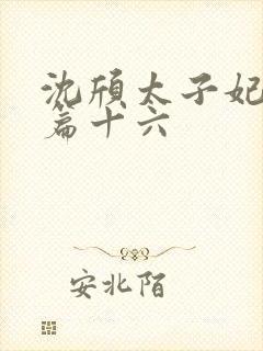 沈颀太子妃重生篇十六