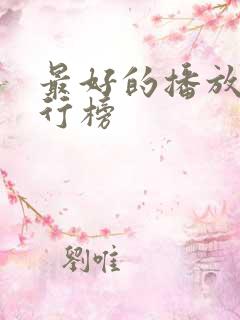 最好的播放器排行榜