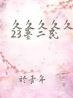 久久久久久久久23台二民