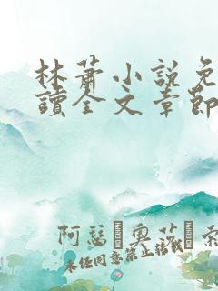林萧小说免费阅读全文章节