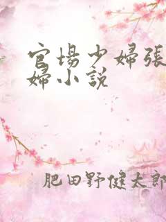 官场少妇张梅夫妇小说