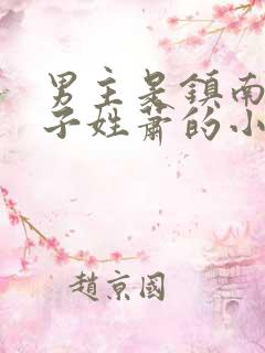 男主是镇南王世子姓萧的小说