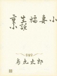 重生福妻小神医小说