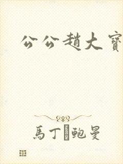 公公赵大宝苏媚