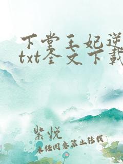 下堂王妃逆袭记txt全文下载