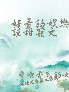 好看的娱乐圈小说甜宠文
