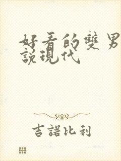 好看的双男主小说现代