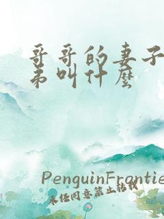 哥哥的妻子的弟弟叫什么