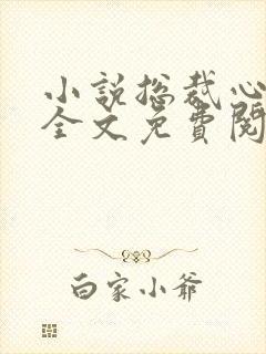 小说总裁心尖宠全文免费阅读