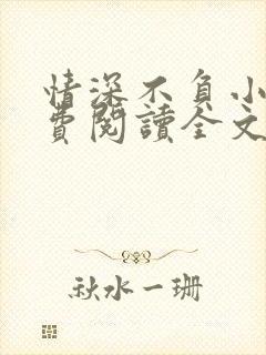 情深不负小说免费阅读全文
