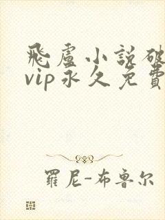 飞卢小说破解版vip永久免费ios