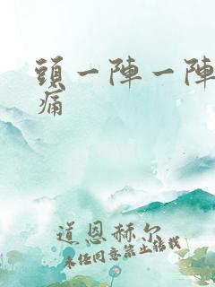 头一阵一阵的刺痛