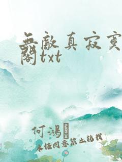 无敌真寂寞笔趣阁txt
