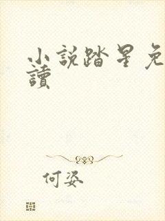 小说踏星免费阅读