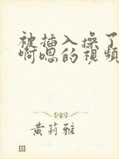 被插入操了嗯嗯啊嗯的视频