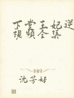 下堂王妃逆袭记视频全集