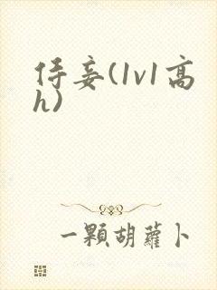 侍妾(1v1高h)