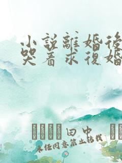 小说离婚后前夫哭着求复婚阅读